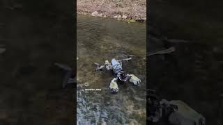 Time pass Just for fun... subscribe #funny #publicplaceprank #prank #comedy