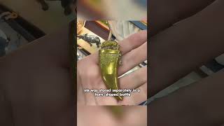 How interesting were objects 100 years ago?—(2)#foryou #youtubeshort #objects #vintage #19thcentury