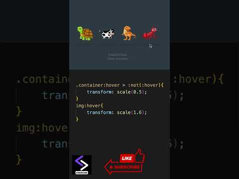 CSS Hover Effect | Web Development #webdevelopment #reactjs #programming #frontend