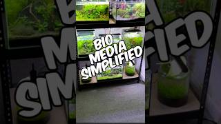 Biological Filter Media Simplified For Beginners!