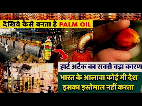 फैक्ट्री में पाम ऑयल कैसे बनता है?How Palm Oil IsMade In Factory |Factory making Process of palm oil