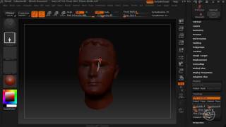 ZBrush Tutorial - Mesh Extraction / Topology