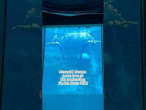 Florida mermaid adventures - Weeki Wachee Springs - Adventures Unbound #florida #floridatravel