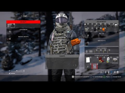 DayZ_20241115205356