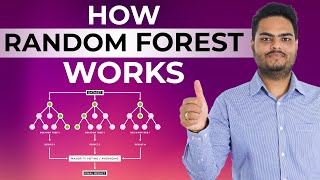 How Random Forest Work|How Random Forest Algorithm Works|Random Forest Machine Learning
