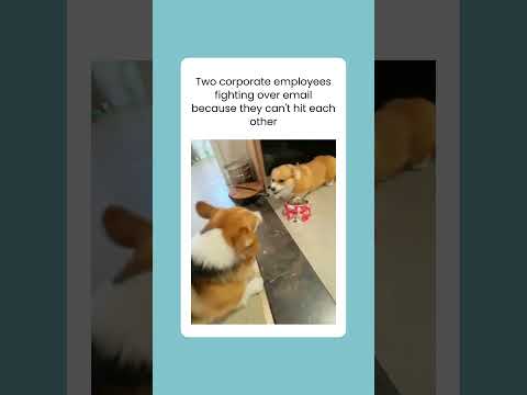 EPIC Office Rumble: Hilarious Corporate Clash Over Emails! 😂📧 | YouTube Shorts