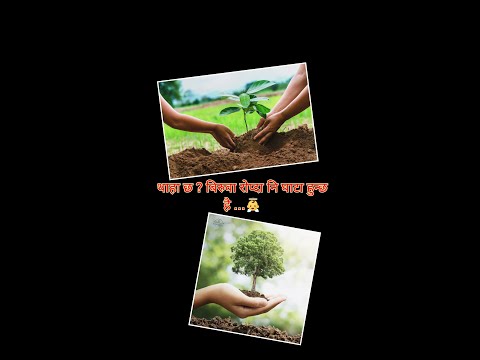 बिरुवा राेप्दा नि घाटा हुन्छ ,कसरी ? planting trees is dangerous ,how?