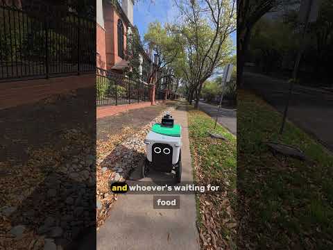 Delivery robot can't use common sense lol #robot #fooddelivery