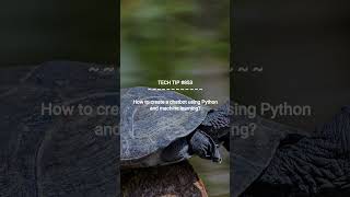 Creating a Chatbot with Python and ML :: 2025-09-19 #shorts #TechTips #dotKey