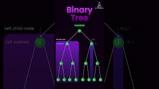 Tree and Binary Tree Data Structure