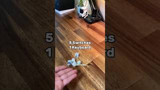 5 Switches, 1 Keyboard.. Zuoya GMK67 #keyboard #keyboards #mechanicalkeyboard #setup #techsetup