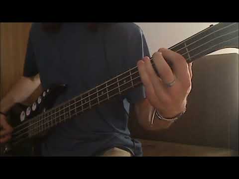 System Of A Down  - Psycho Bass Cover