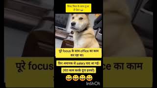 When Your Boss Acts Like a Spy | Funny Corporate Office Life Comedy #coding #java #python