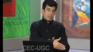 Understanding Postmodernism - Feminism