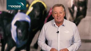 TheDogs.com.au Week In Review 16112020