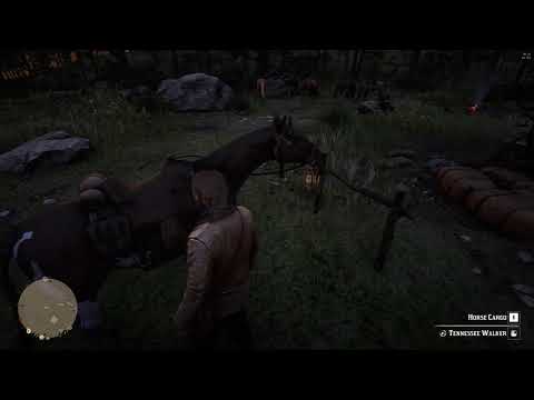 Red Dead Redemption 2 | 461.81 Hotfix | Shot with GeForce