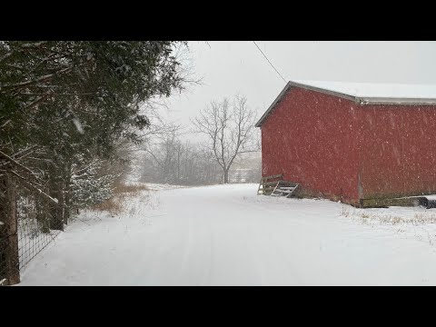 Christmas 2019