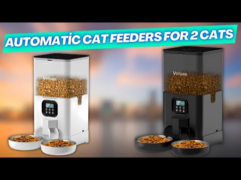 The Best Automatic Cat Feeders for 2 Cats 2025
