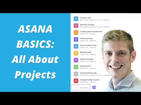 ASANA BASICS: All About Projects (Project Management Software)