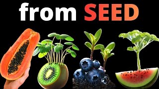 I Grew 12 Plants From Seed to Make this TIMELAPSE Compilation!