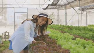 Revolutionizing the Food Supply Chain: Introducing GreenRoute