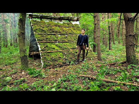 Building a Super Primitive Viking House Built in the rain / Bushcraft camp Survival
