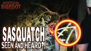 Sasquatch Seen and Heard?!- Investigation Bigfoot