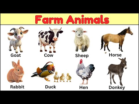 Farm animals | Farm animals for kids | Toddler learning video | Kids learning