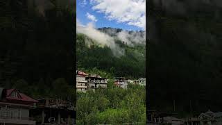 Whispers of the Himalayas — clouds dancing over timeless pines 🌲☁️#HimalayanVibes #NatureTimelapse