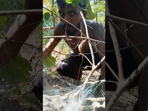 Bhool Bhulaiyaa 2 new video👽☠️#shorts #viral #trending