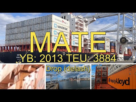 Lashing Containers -Mate - Drop/delash - Longshoreman work