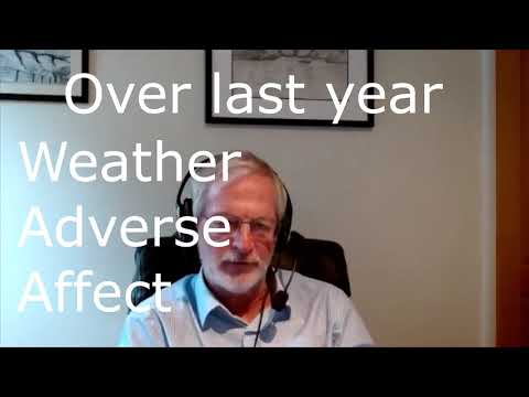 Impact of the Drought and Rain on the Brazil Crop - Steve Wateridge Interviews Part 1