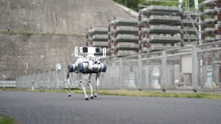 DEEPRobotics Unleashes China's First Autonomous Quadruped Robot for Power Station Inspections