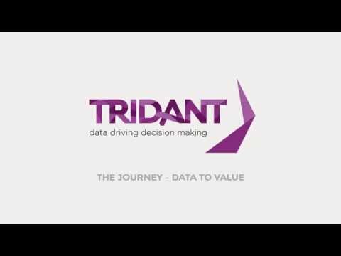 Tridant: The Journey - Data to Value