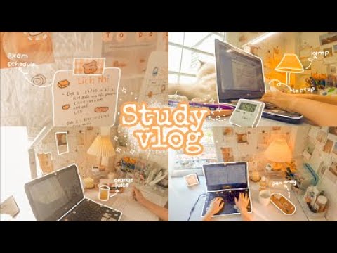 STUDY VLOG // A busy week in my life (4 exams, online study) // Động lực học tập