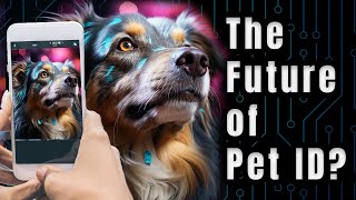 The future of Pet Identification??