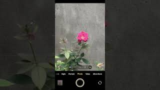 Vivo X200 FE Camera Quality Test #vivox200fe #cameratest #vivo #shorts