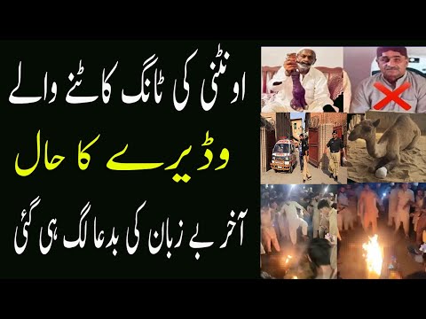 Unt ki tang kat deCamel Leg Cut Viral Video Complete Detail