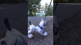 Who will run out of battery first? Robodog vs Real Dog
