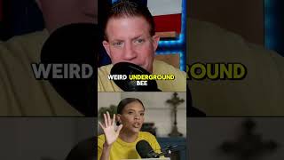 Daily Wire's New AI Show Is... Embarrasing