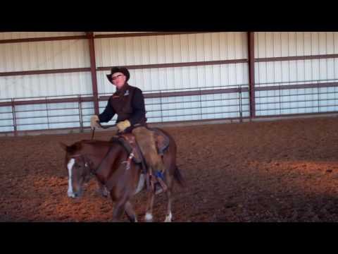 Training Tip: Keeping Your Horse in a "Thinking" Mindset