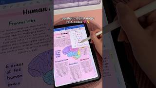 aesthetic digital notes HEX codes 💕 iPad note taking | goodnotes app | apple pencil | study notes
