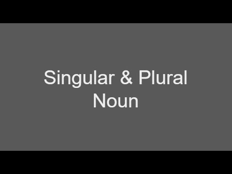 Singular and Plural Nouns | Rules & Examples