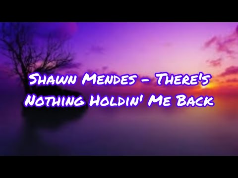 Shawn Mendes - There's Nothing Holdin' Me Back (Lyrics)