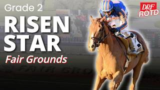G2 Risen Star @ Fair Grounds | DRF Saturday ROTD