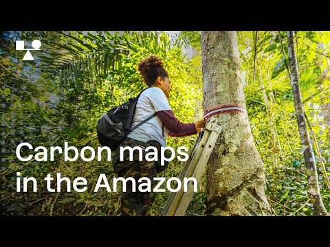Carbon maps of the Brazilian Amazon