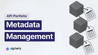 Metadata Management in API Portfolio