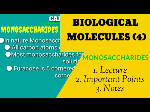 Biological Molecules | MDCAT 2023 | MDCAT Biology Lectures | Monosaccharides