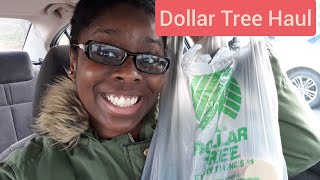 MINI DOLLAR TREE HAUL》CASUAL FINDS》NATURALLYRAY