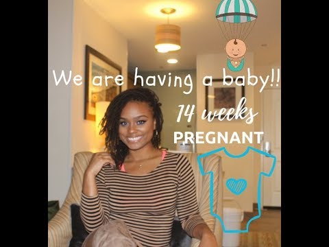 14 weeks pregnant